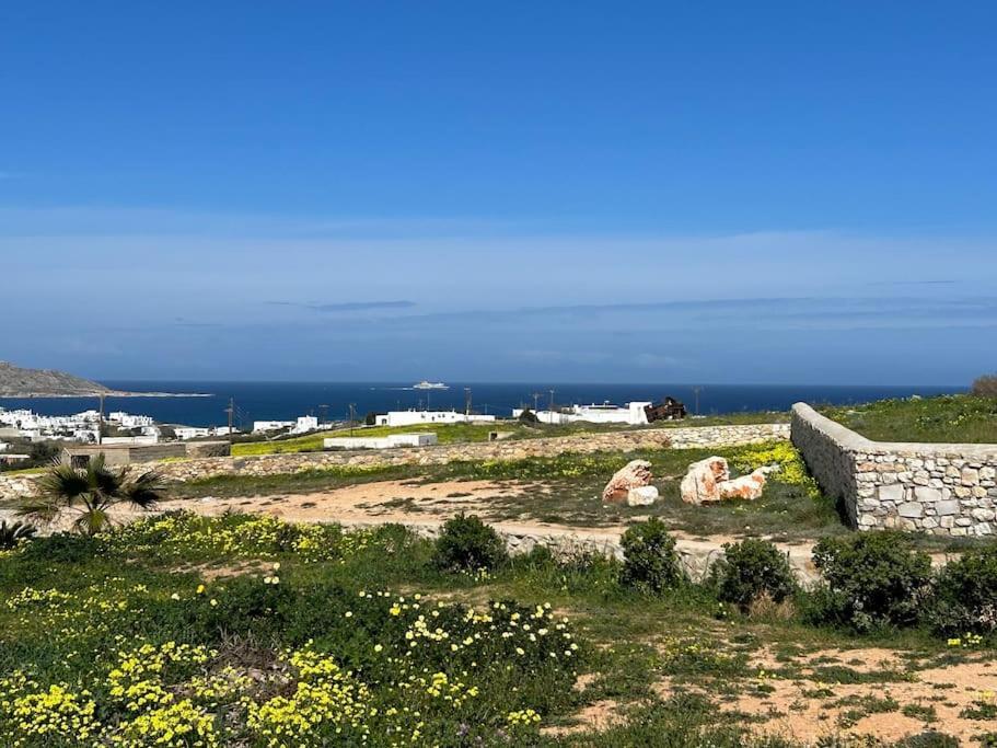 Aretousa Residence In Naoussa, Paros מראה חיצוני תמונה
