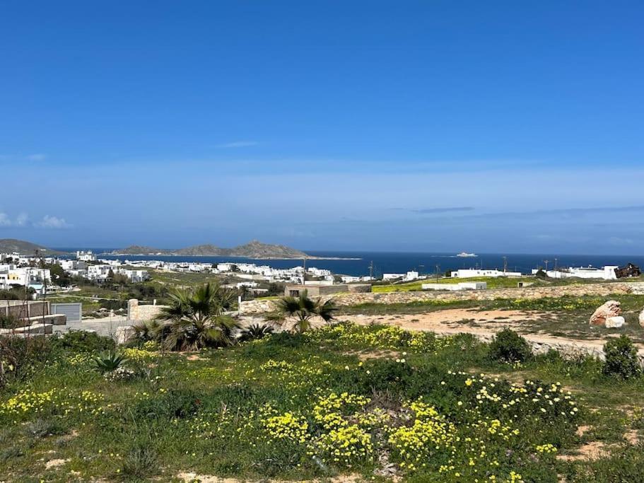 Aretousa Residence In Naoussa, Paros מראה חיצוני תמונה